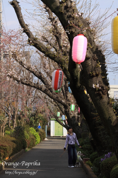 ちょっとした違和感のある風景_c0173670_1950419.jpg