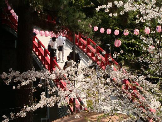 岡崎公園のお花見_d0150672_2283220.jpg