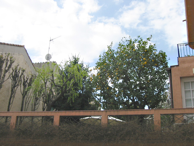 c0175975_41197.jpg