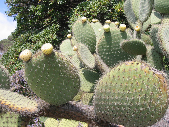 c0175975_4143049.jpg