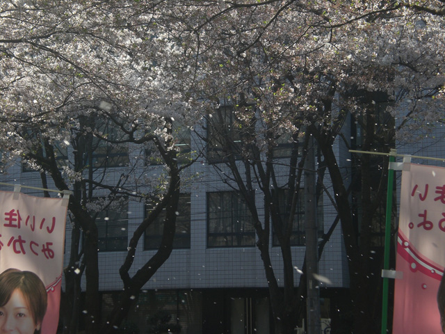 b0029777_16343100.jpg