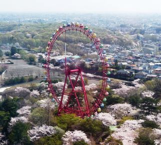 狭山湖の桜　桜　桜　・・・・_c0111581_2040746.jpg