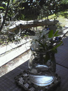 c0180581_18363418.jpg