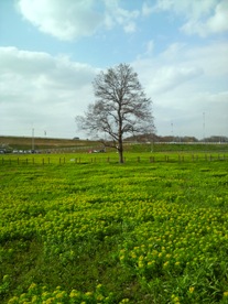 c0156584_1653128.jpg