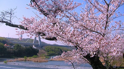 c0073288_251498.jpg