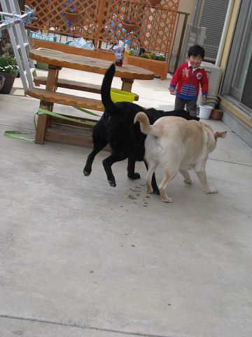 e0047591_12131.jpg