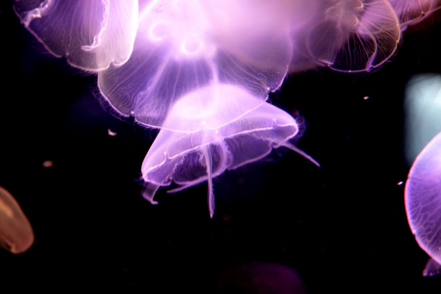 f0195893_824068.jpg