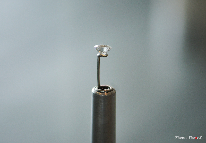 f0186496_14179.jpg