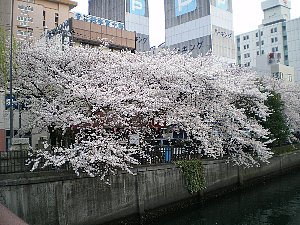 b0019597_2318985.jpg