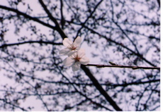 f0097397_1383124.jpg