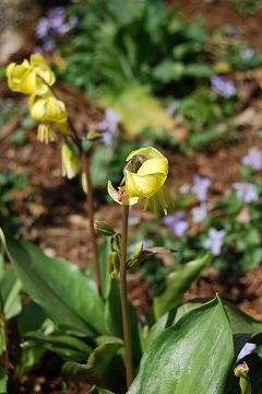 c0124100_20451888.jpg