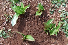 c0124100_20525718.jpg