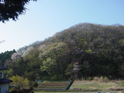 b0135601_23175037.jpg