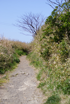 e0153701_21485512.jpg
