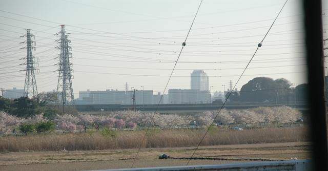 e0018604_178011.jpg