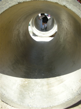c0145209_23263.jpg