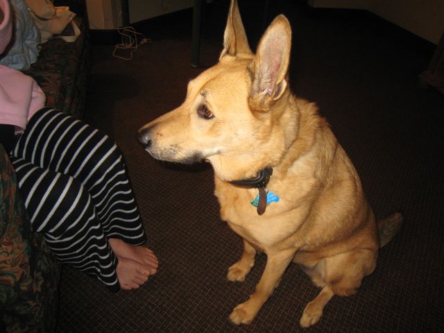c0079011_11344943.jpg