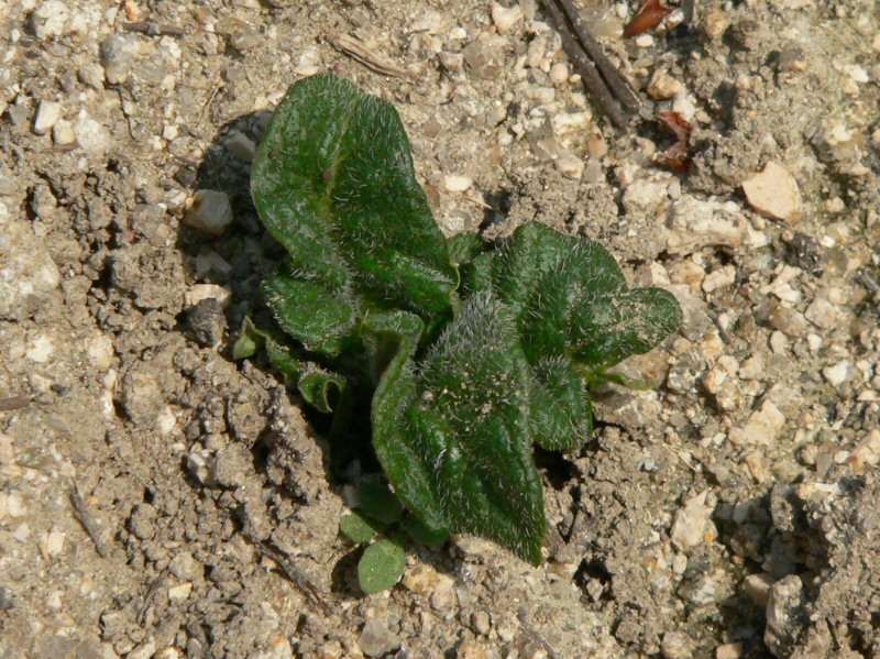 b0057612_84552.jpg
