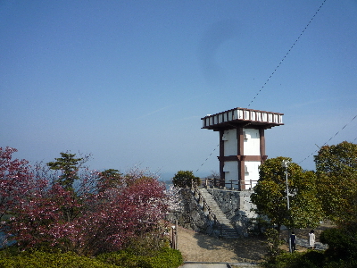 カレイ山展望公園☆遠見茶屋☆桜_b0146414_2055328.jpg