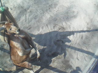 c0164514_12324784.jpg