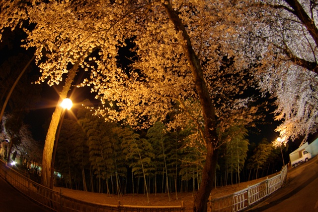 e0111217_22591127.jpg