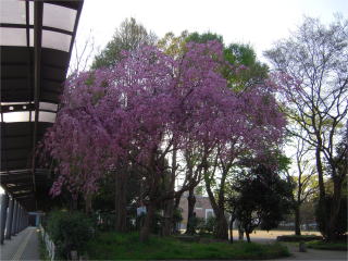 c0090220_1282143.jpg