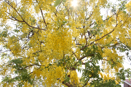 c0132422_15037.jpg