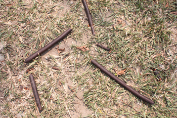 c0132422_1525183.jpg
