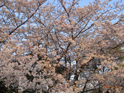 c0132422_163170.jpg