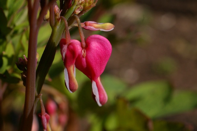 b0115524_818521.jpg