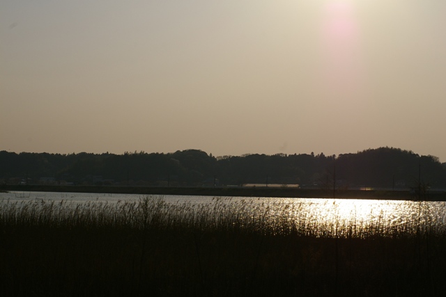 c0107924_22491738.jpg
