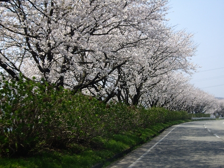 f0040734_24531.jpg