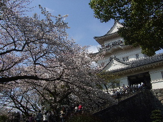 b0165236_8581413.jpg