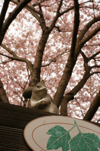 c0165636_20224035.jpg