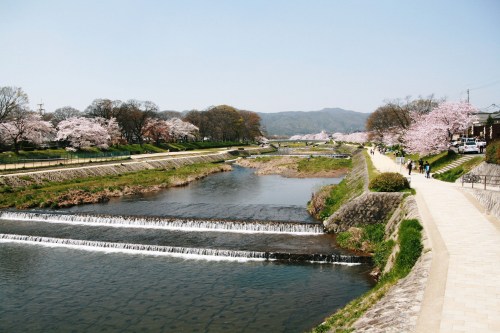 d0043737_03848.jpg