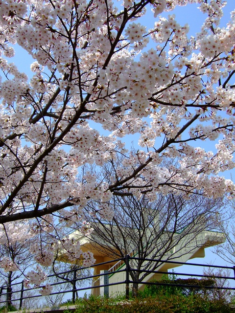 坂町横浜公園 広島コンシェルジュ