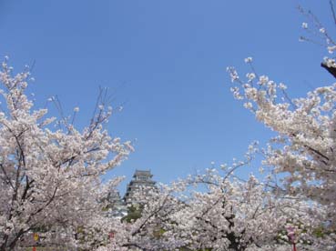 姫路へ_e0035344_1214967.jpg
