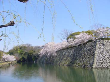 姫路へ_e0035344_1221973.jpg