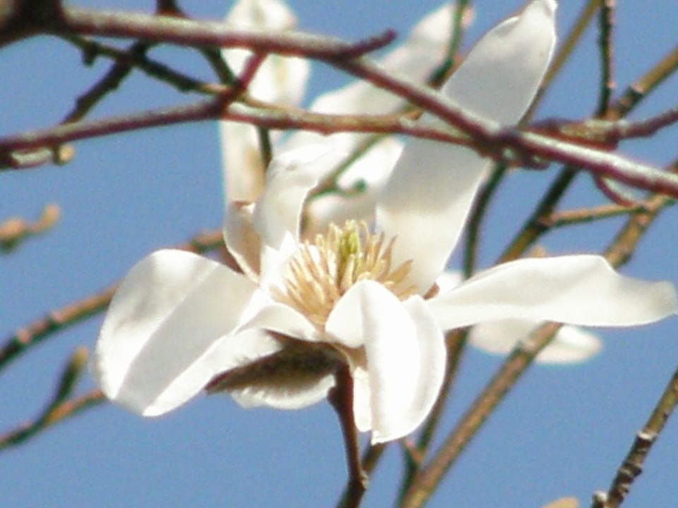 f0090444_21343046.jpg