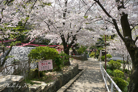 c0127748_1717307.jpg