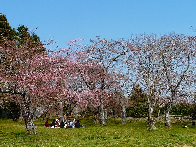d0041158_611724.jpg