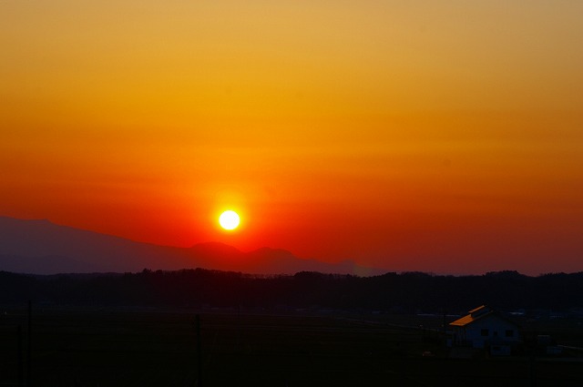 d0041158_6141769.jpg