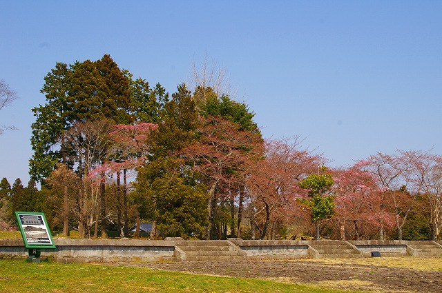 d0041158_6641100.jpg