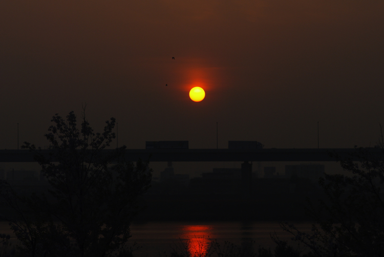 f0179061_7455054.jpg