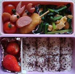 今週のお弁当（水曜まで）_f0027762_2372852.jpg