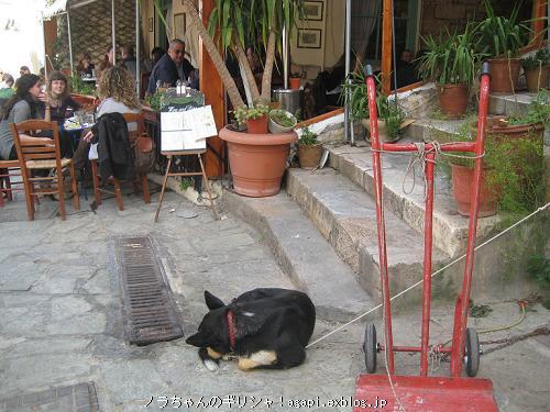 飼主が喫茶店でコーヒーを飲んでるので_f0037264_20403290.jpg