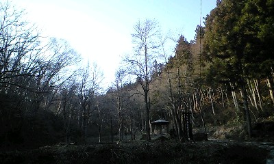 森林の癒やし_c0151965_1926278.jpg