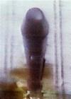 c0110366_2042715.jpg