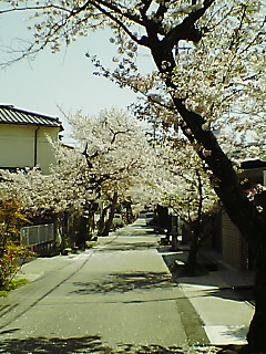 a0112667_2251218.jpg
