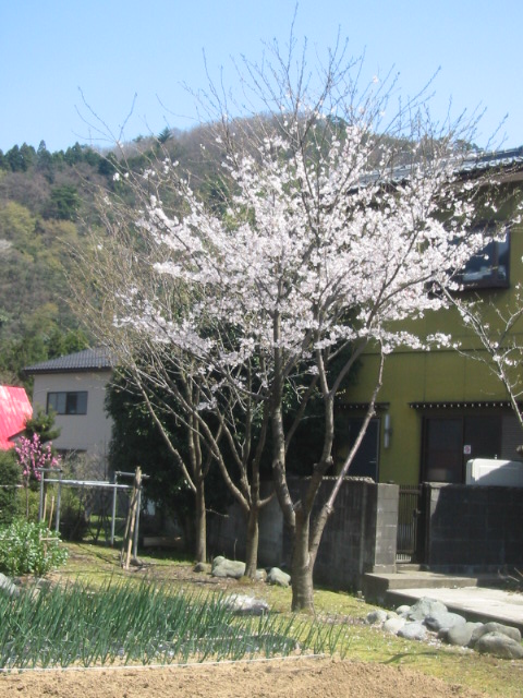 d0094868_22233681.jpg